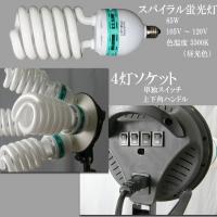 スパイラル電球4灯+スタンド