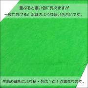 撮影用背景紙 (不織布)　　　　　グリーン緑　3×6m　　　　　　　pc-013